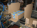 After sealing by FCC Triliner 3-flap closers, cartons are packed ...